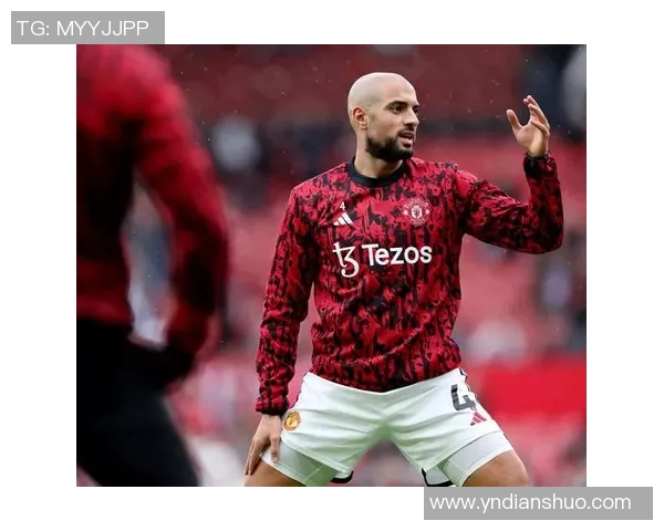 2024年足球界新星崛起 全球顶尖球员风采与未来展望